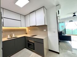 Normanton Park (D5), Apartment #480343341